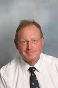 Prof Ian Parkin